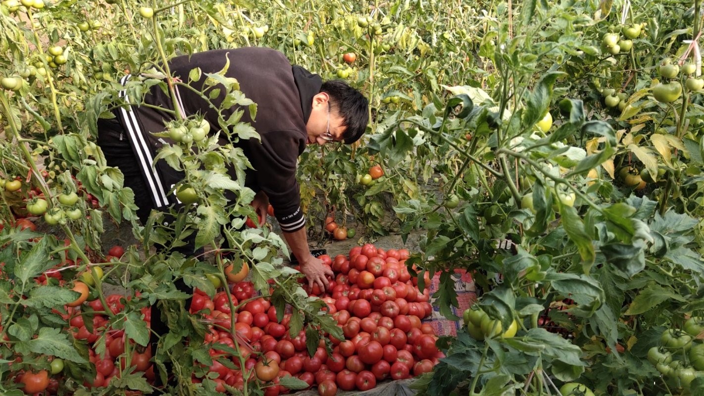 51660583813f4093bf0128688d80759a.jpg 51660583813f4093bf0128688d80759a.jpg