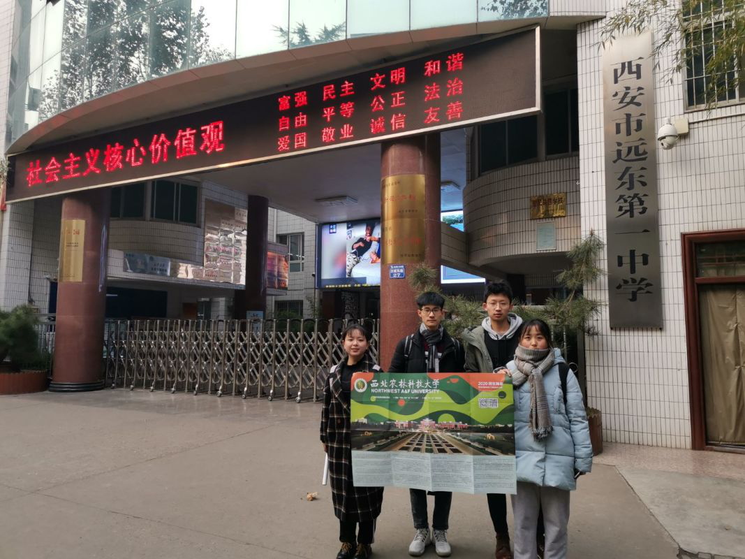 9699b3f1cc0044969050e65e9b7b77eb.png 9699b3f1cc0044969050e65e9b7b77eb.png