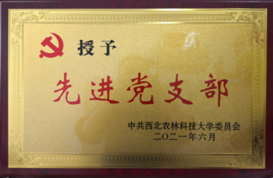 081d2bd4ee0d4871b1ad0ddc50eb12fb.png 081d2bd4ee0d4871b1ad0ddc50eb12fb.png