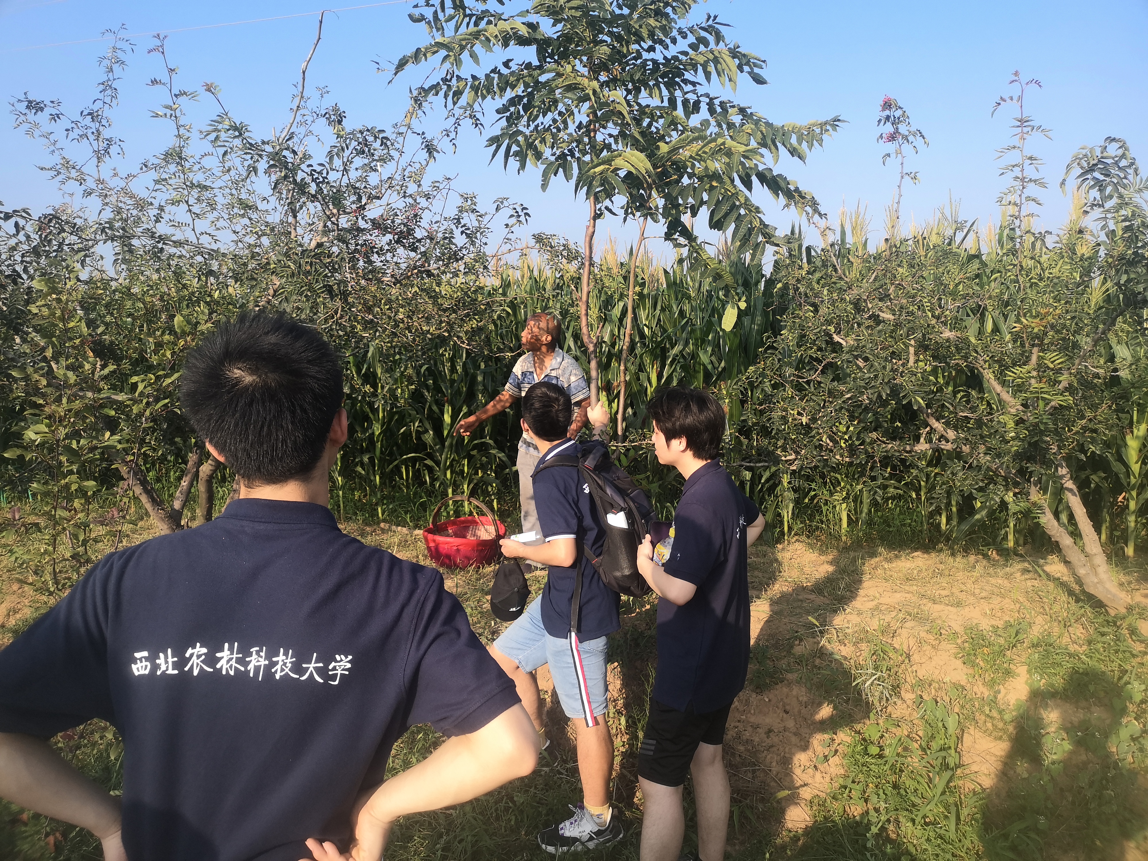 a1e1c8f6ec12471eb91205a63cccd342.jpg a1e1c8f6ec12471eb91205a63cccd342.jpg