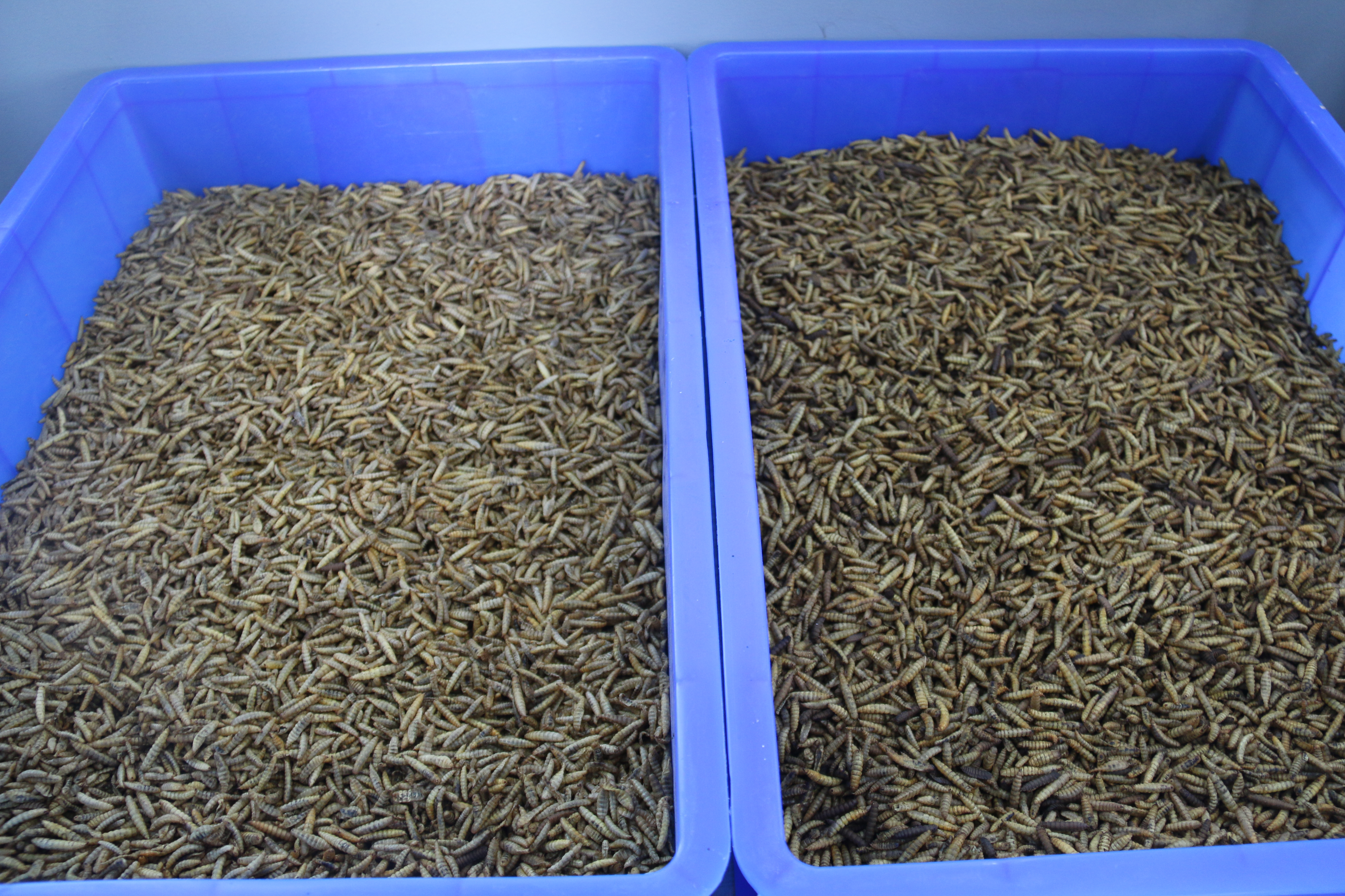 62c901d01de249c1b4ddeb9e935fae61.jpg 62c901d01de249c1b4ddeb9e935fae61.jpg